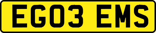 EG03EMS