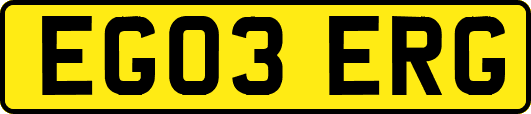 EG03ERG