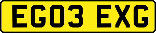EG03EXG