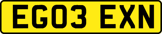 EG03EXN