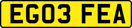 EG03FEA