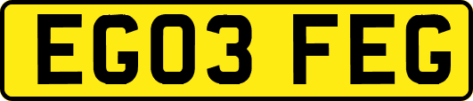EG03FEG