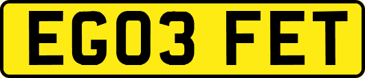 EG03FET