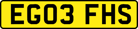 EG03FHS