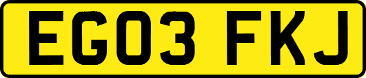 EG03FKJ