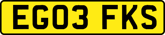 EG03FKS