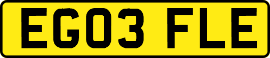 EG03FLE