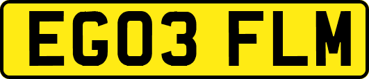 EG03FLM