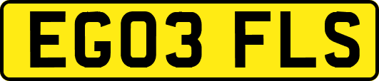 EG03FLS