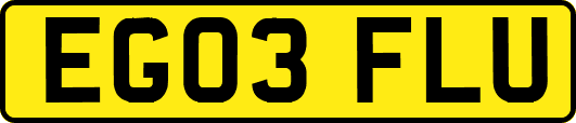 EG03FLU