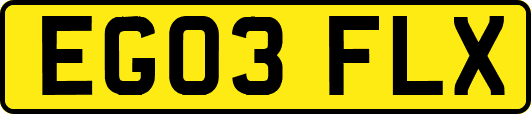 EG03FLX