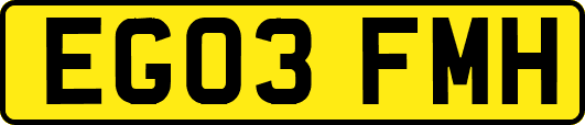 EG03FMH