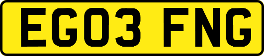 EG03FNG