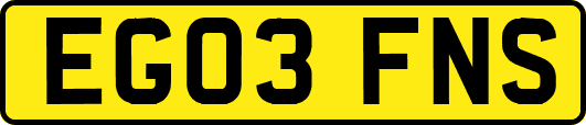 EG03FNS