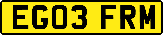EG03FRM