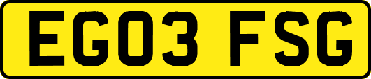 EG03FSG