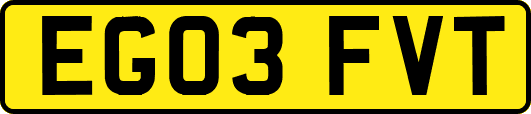EG03FVT