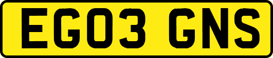 EG03GNS
