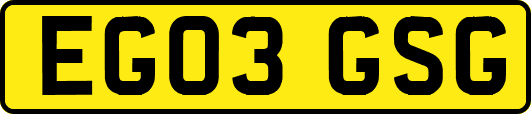 EG03GSG