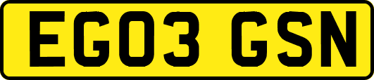 EG03GSN