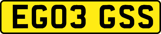 EG03GSS