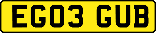 EG03GUB