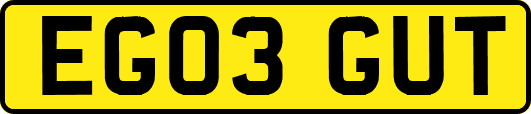 EG03GUT