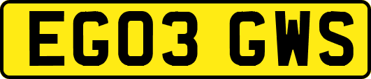 EG03GWS