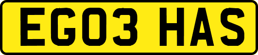 EG03HAS