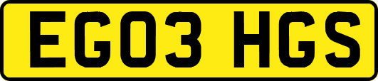 EG03HGS