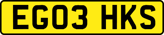 EG03HKS
