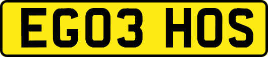 EG03HOS