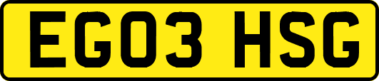 EG03HSG
