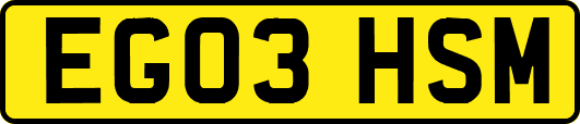 EG03HSM