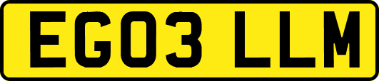 EG03LLM