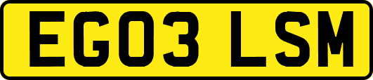EG03LSM