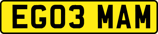 EG03MAM
