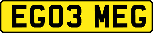 EG03MEG