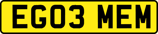 EG03MEM
