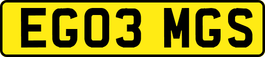 EG03MGS