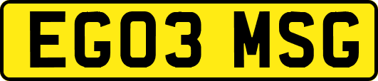 EG03MSG