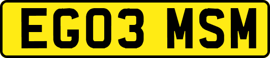 EG03MSM