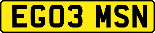 EG03MSN