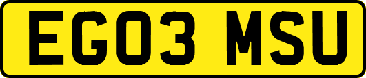 EG03MSU