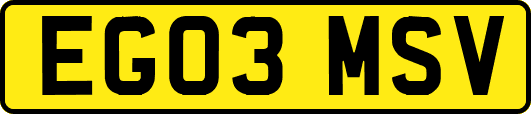 EG03MSV