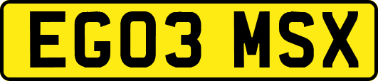 EG03MSX