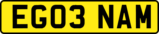 EG03NAM
