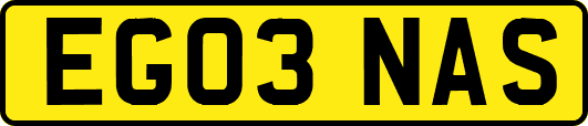EG03NAS