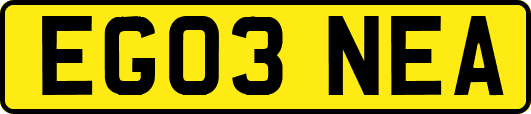 EG03NEA