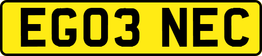 EG03NEC